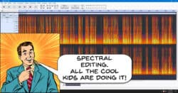 Spectral editing view in Audacity digital audio workstation.