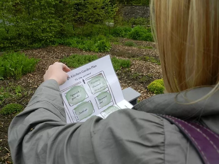 A person reading some documents as an example of an over the shoulder shot.