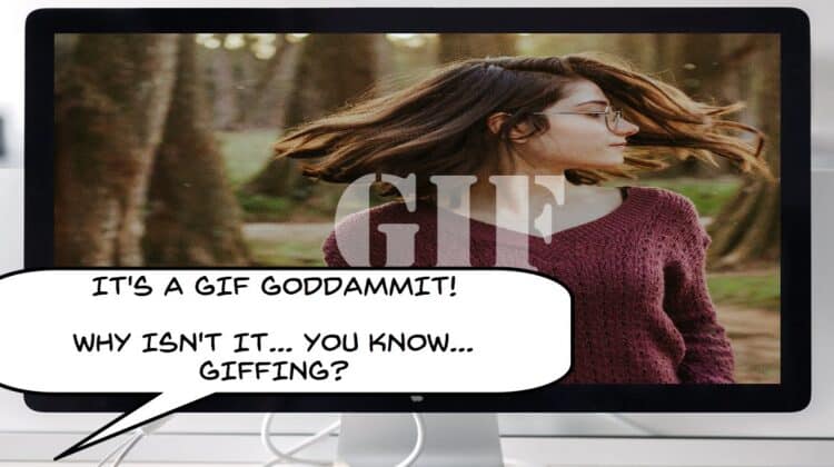 Funny image of user creating a GIF but it doesn't work.
