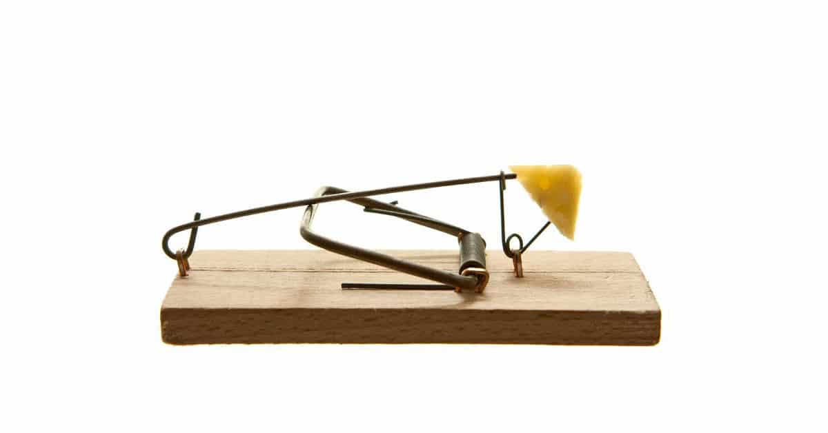 Image of a mousetrap with cheese.