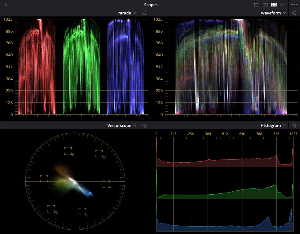 Various color correction scopes in editing software.