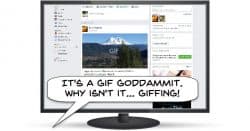 GIFs on social media sites