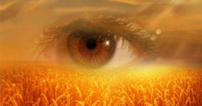 special-effects-filters