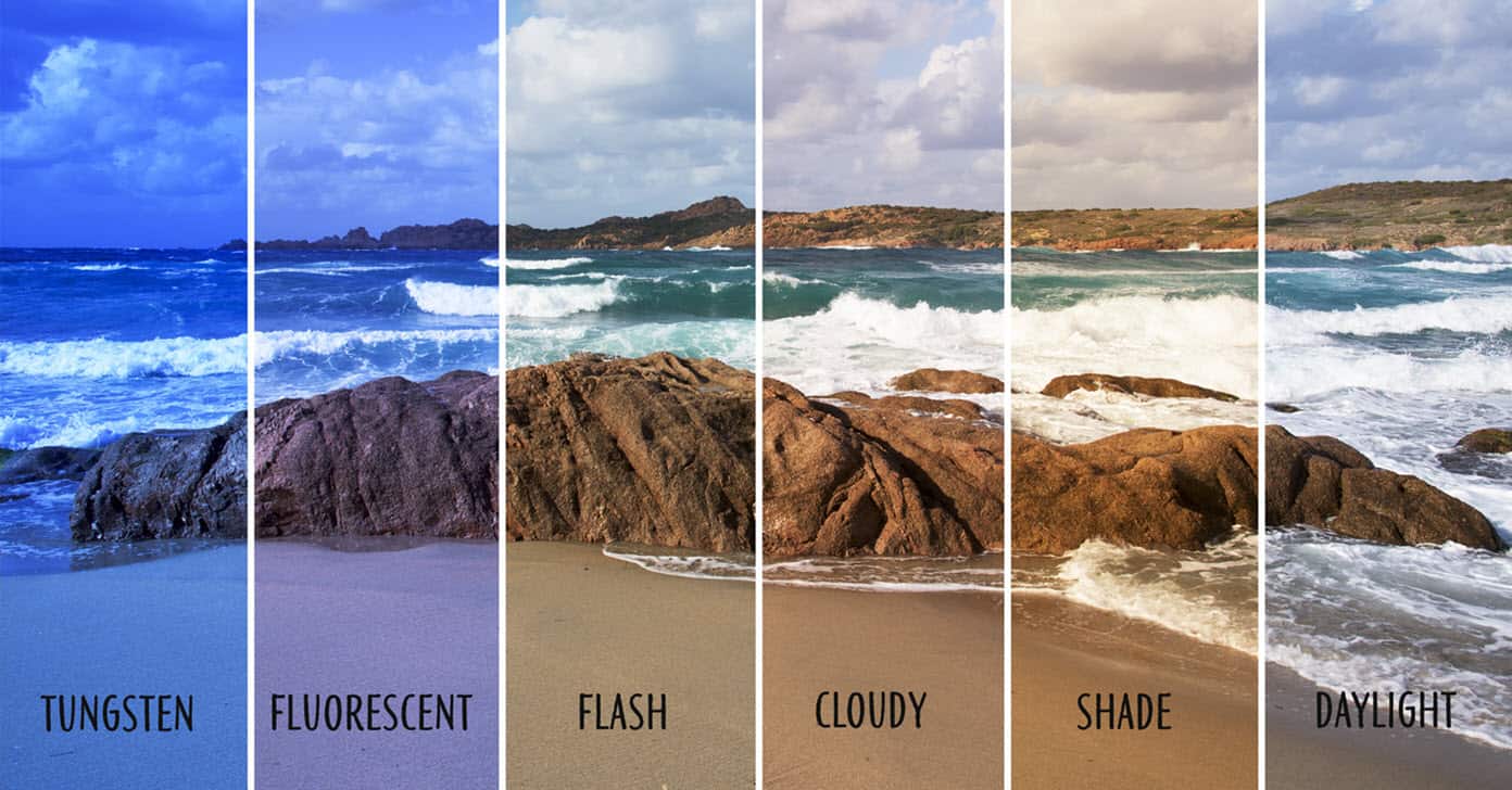Image showing different white balance settings on one photo.